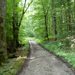 von Hanweiler hinauf zum Hanweiler Sattel