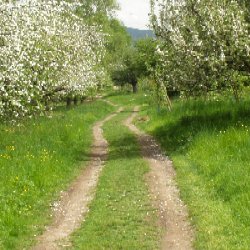 von Endersbach nach Stetten